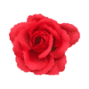 A red rose on a white background.
