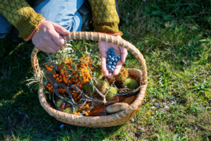 A person holding a basket full of berries.
