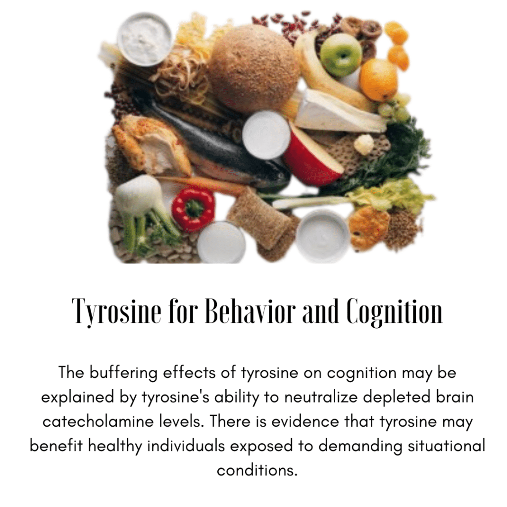 Tyrosine behavior and cognition.